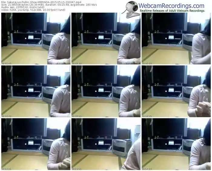 sakuralivejp-merinda-public-show-05_15_2015-23_00_47