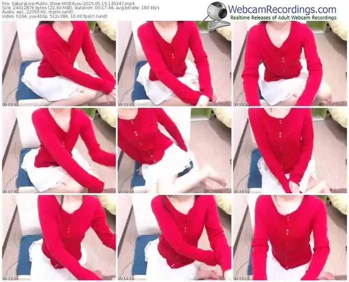 sakuralivejp-moe4you-public-show-05_15_2015-14_53_47