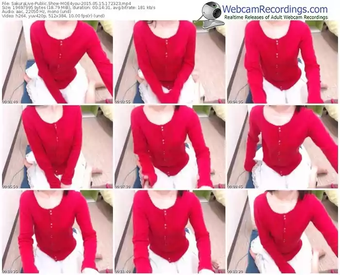 sakuralivejp-moe4you-public-show-05_15_2015-17_23_23