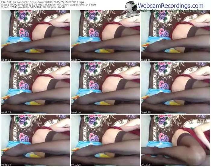 sakuralivejp-sakura0106-public-show-05_15_2015-07_58_32