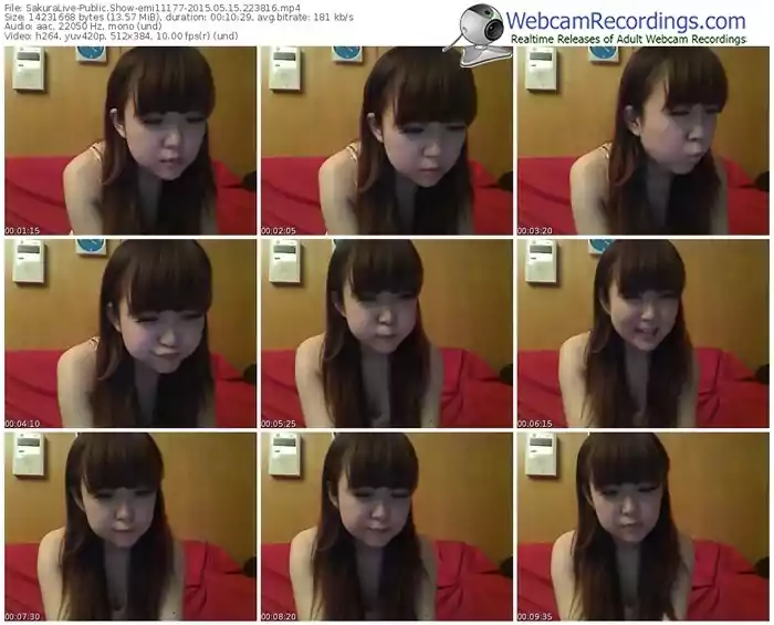 sakuralivejp-emi11177-public-show-05_15_2015-22_38_16