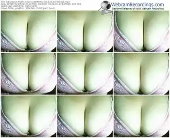 sakuralivejp-cutemaria-public-show-05_16_2015-05_54_11