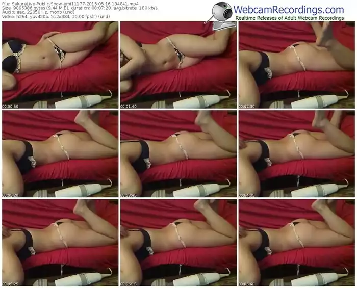 sakuralivejp-emi11177-public-show-05_16_2015-13_48_41