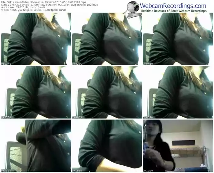 sakuralivejp-mimi29mimi-public-show-05_16_2015-00_33_28