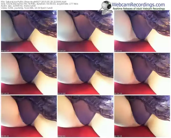 sakuralivejp-ayu86927-public-show-05_29_2015-21_30_44