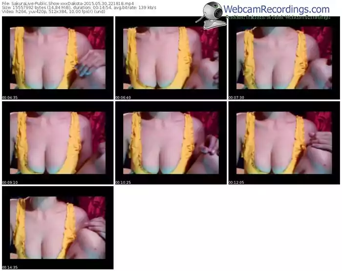 sakuralivejp-xxxdakota-public-show-05_30_2015-22_18_18