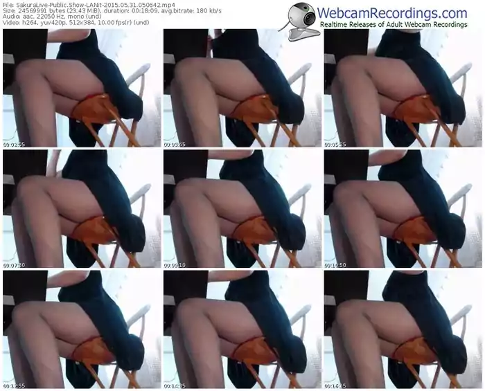 sakuralivejp-lanit-public-show-05_31_2015-05_06_42