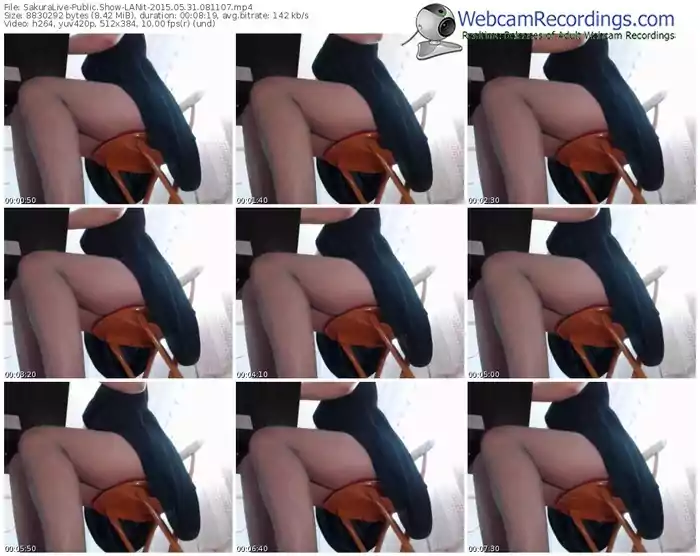 sakuralivejp-lanit-public-show-05_31_2015-08_11_07