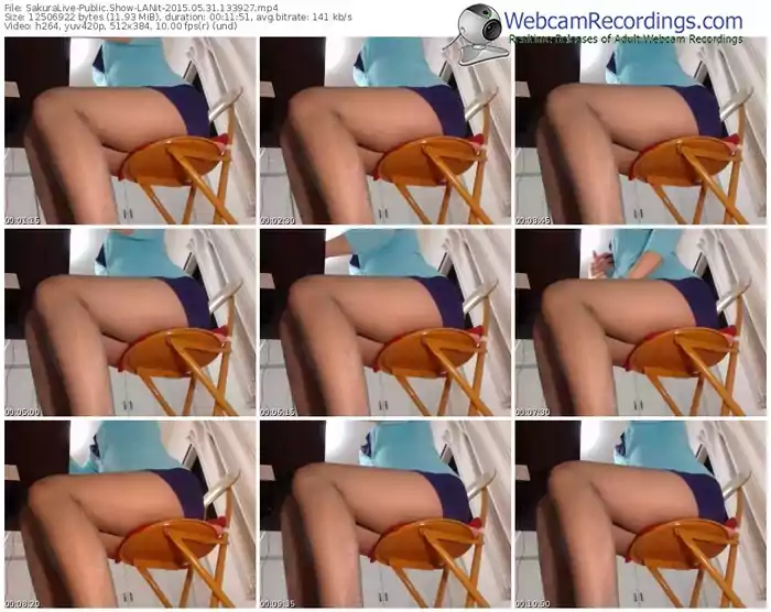 sakuralivejp-lanit-public-show-05_31_2015-13_39_27