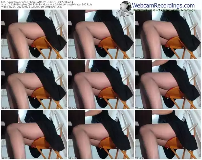 sakuralivejp-lanit-public-show-05_31_2015-13_55_08
