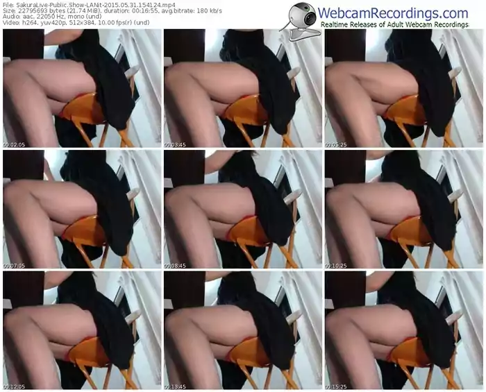 sakuralivejp-lanit-public-show-05_31_2015-15_41_24