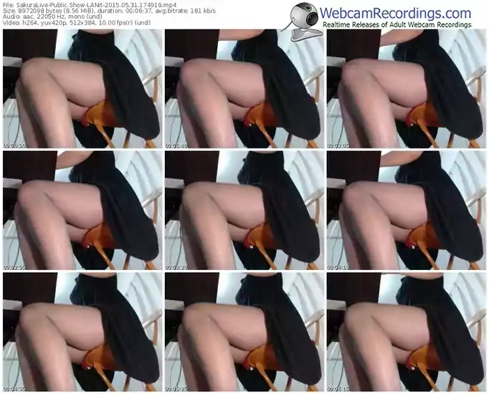 sakuralivejp-lanit-public-show-05_31_2015-17_49_19