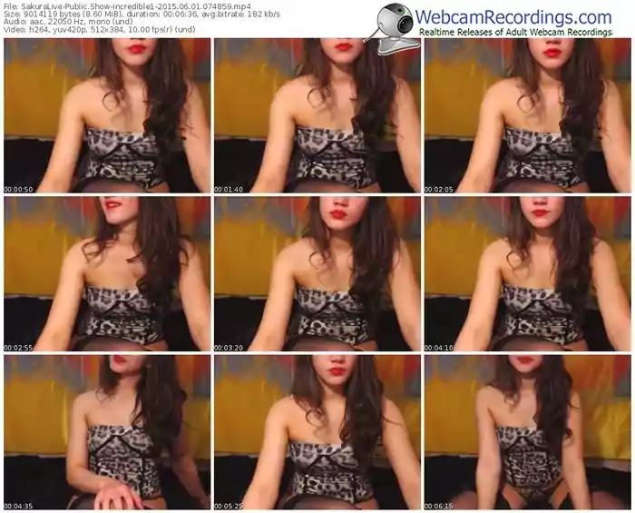 sakuralivejp-incredible1-public-show-06_01_2015-07_48_59