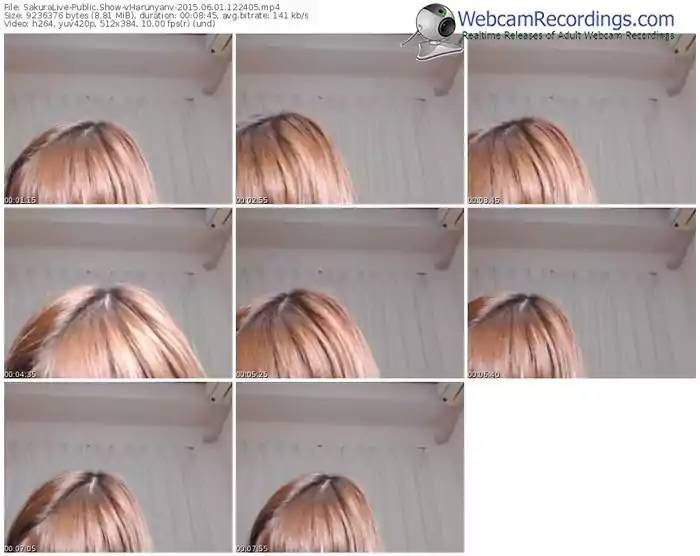 sakuralivejp-vharunyanv-public-show-06_01_2015-12_24_05