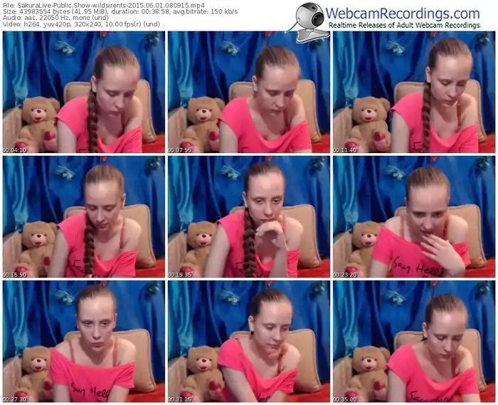 sakuralivejp-wildsirents-public-show-06_01_2015-08_09_15