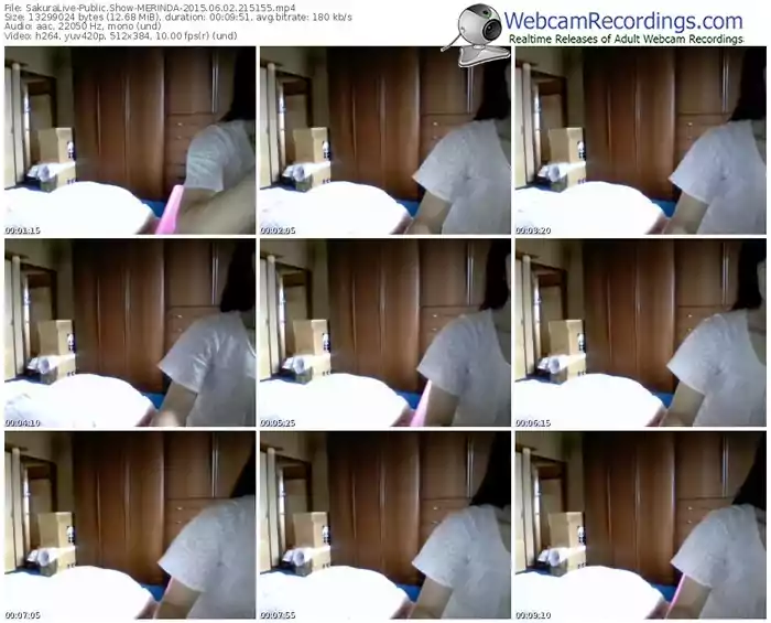 sakuralivejp-merinda-public-show-06_02_2015-21_51_55