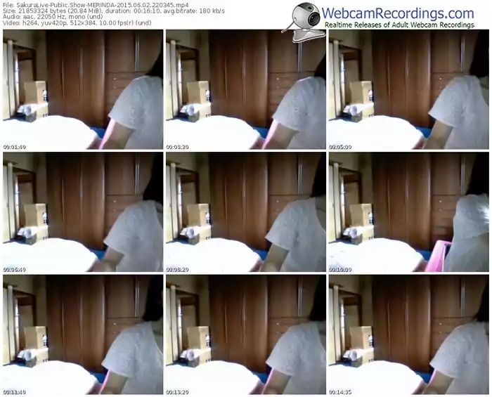 sakuralivejp-merinda-public-show-06_02_2015-22_03_45