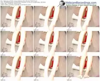 sakuralivejp-misajp-public-show-06_02_2015-17_59_05