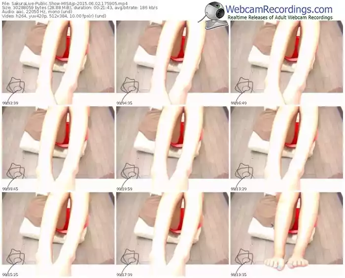 sakuralivejp-misajp-public-show-06_02_2015-17_59_05