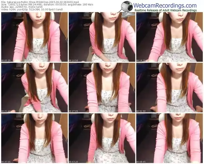 sakuralivejp-risakosp-public-show-06_02_2015-06_36_03