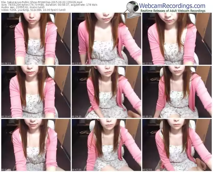 sakuralivejp-risakosp-public-show-06_02_2015-13_56_29