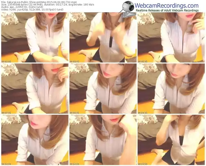 sakuralivejp-painaq-public-show-06_02_2015-06_17_32