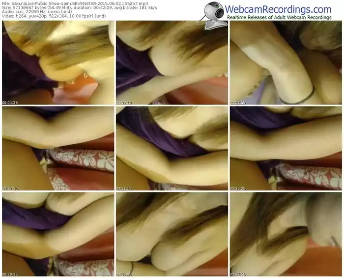 sakuralivejp-samusevenstar-public-show-06_02_2015-15_52_57