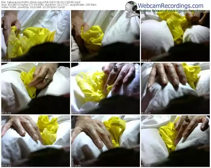 sakuralivejp-sayuri58-public-show-06_02_2015-13_25_40