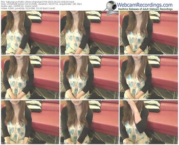 sakuralivejp-xharukax0704-public-show-06_02_2015-16_41_00