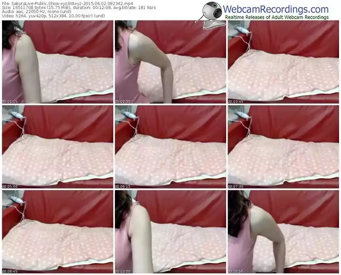 sakuralivejp-xyzayaxyz-public-show-06_02_2015-09_23_42