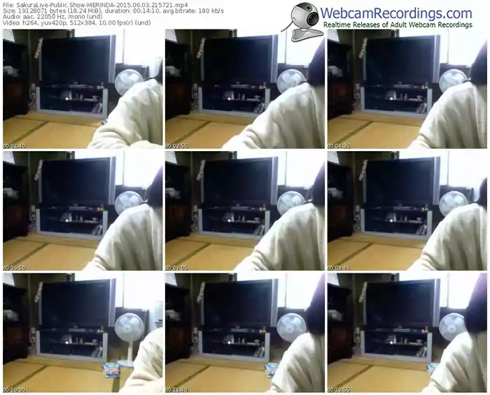 sakuralivejp-merinda-public-show-06_03_2015-21_57_21
