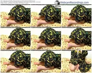 sakuralivejp-rosezxzx-public-show-06_03_2015-19_38_44