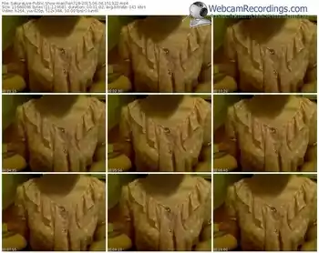 sakuralivejp-maichan728-public-show-06_04_2015-15_13_22