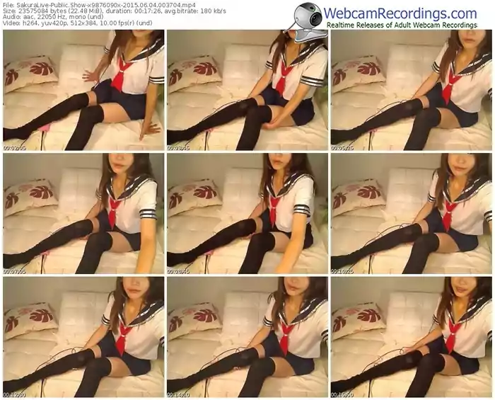 sakuralivejp-x9876090x-public-show-06_04_2015-00_37_04