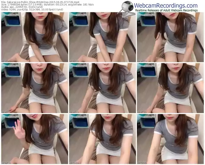 sakuralivejp-risakosp-public-show-06_05_2015-07_37_29