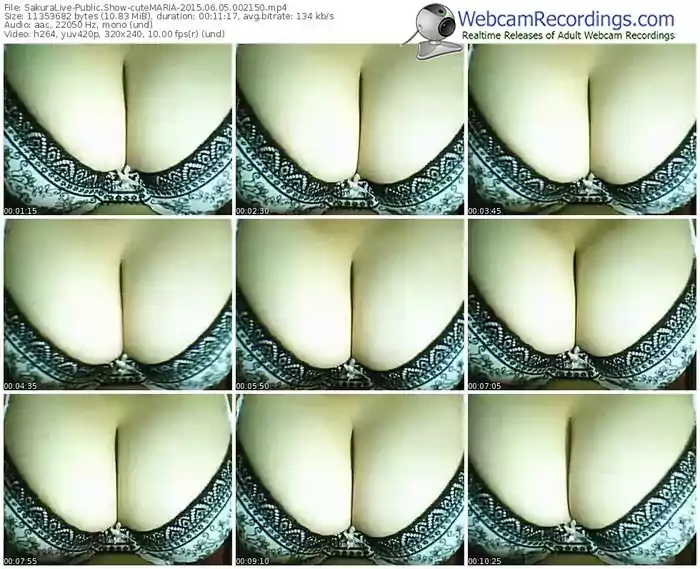 sakuralivejp-cutemaria-public-show-06_05_2015-00_21_50