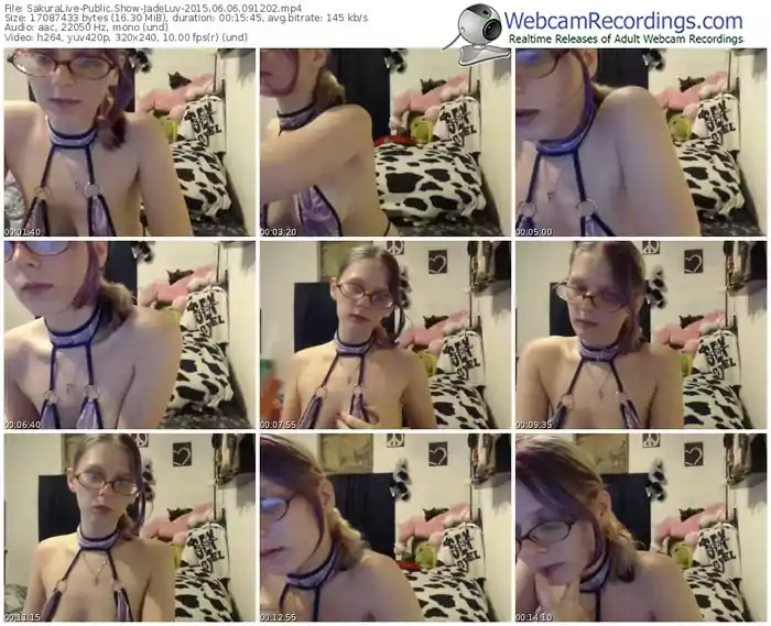 sakuralivejp-jadeluv-public-show-06_06_2015-09_12_02