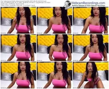 sakuralivejp-misschanelle-public-show-06_06_2015-21_23_30