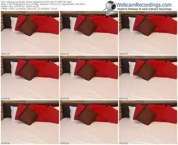 sakuralivejp-adeleluv-public-show-06_07_2015-06_03_30