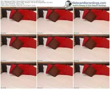 sakuralivejp-adeleluv-public-show-06_07_2015-06_38_30