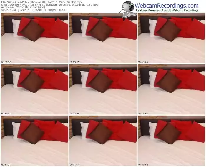 sakuralivejp-adeleluv-public-show-06_07_2015-06_38_30