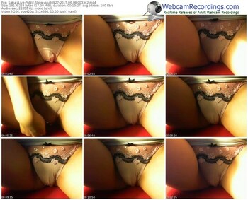 sakuralivejp-ayu86927-public-show-06_08_2015-00_33_42