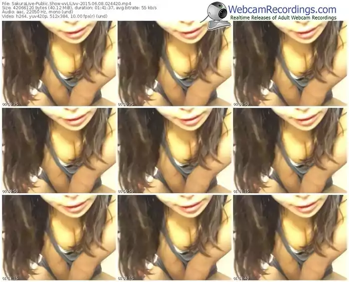 sakuralivejp-vvlilivv-public-show-06_08_2015-02_44_20