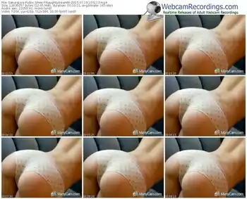 sakuralivejp-naughtyasian69-public-show-07_19_2015-15_51_13