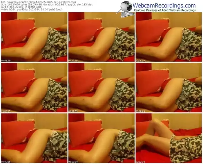 sakuralivejp-sion55-public-show-07_19_2015-22_01_21