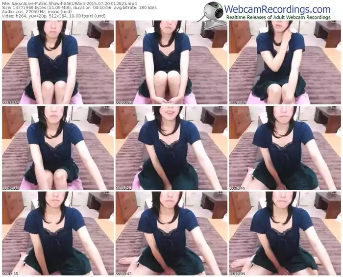 sakuralivejp-sakurax4-public-show-07_20_2015-01_26_23