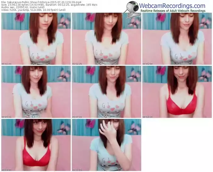 sakuralivejp-silliciya-public-show-07_20_2015-11_51_33