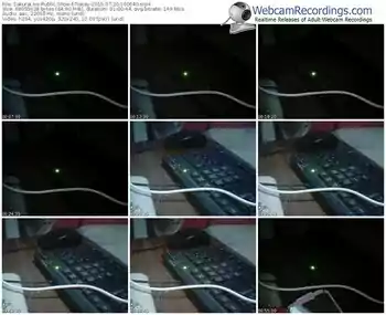 sakuralivejp-tracey-public-show-07_20_2015-16_06_40