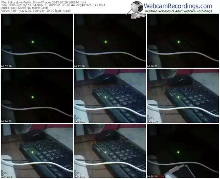 sakuralivejp-tracey-public-show-07_20_2015-16_06_40