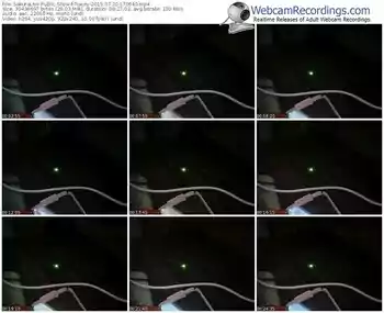 sakuralivejp-tracey-public-show-07_20_2015-17_06_40